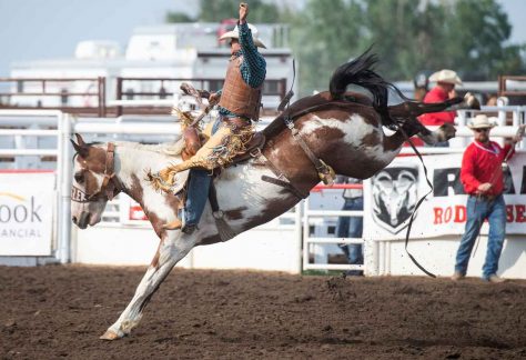 MH Stampede & Exhibition – A Medicine Hat Tradition