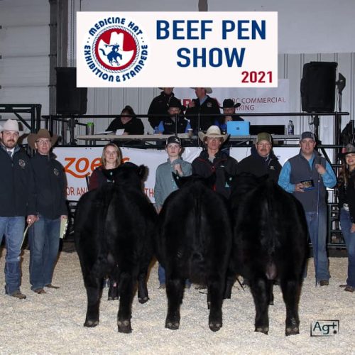 pen show_n